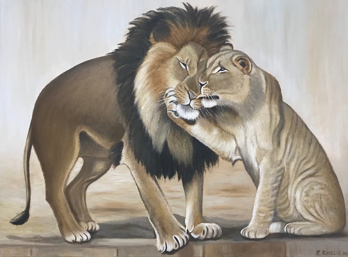 Original oil painting The lion and the lioness - 60x45 cm (2022) by Evgeniya Roslik