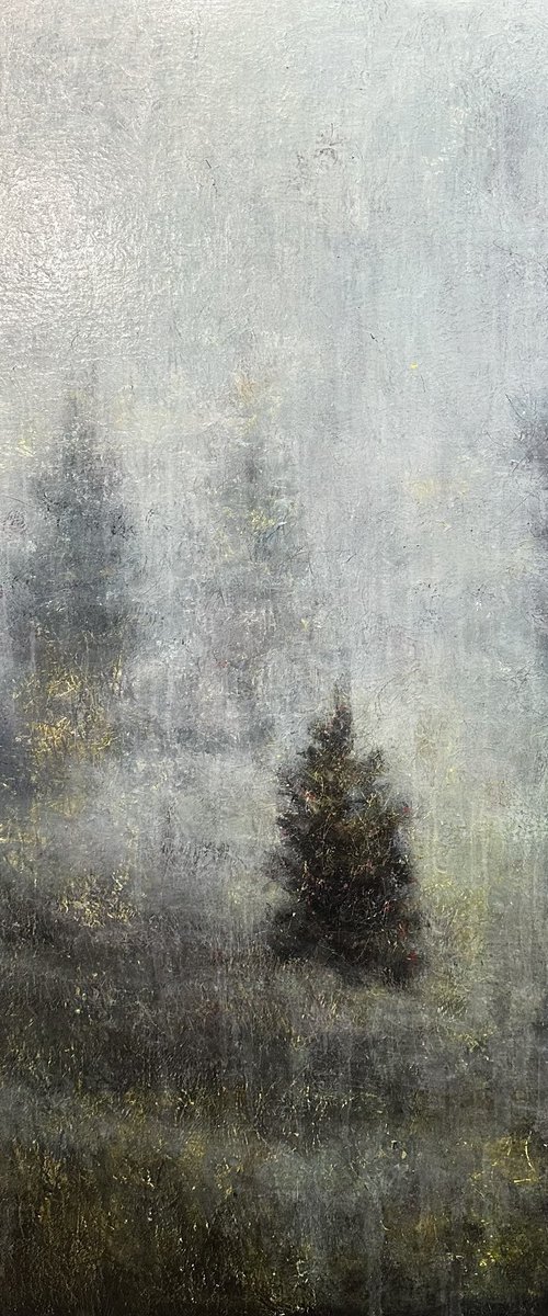 A young, lonely spruce tree by Margarita Ivanova