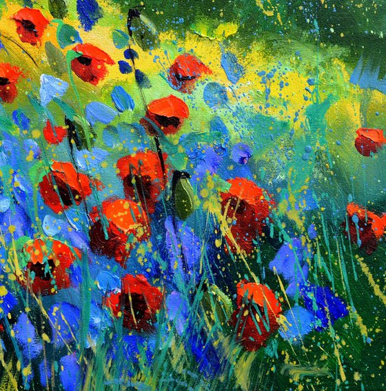 red poppies