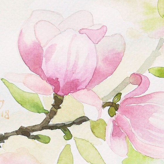 Magnolia in bloom * free shipping *
