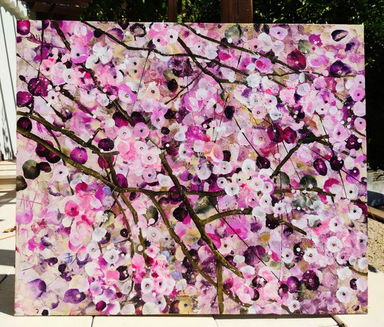 Cherry Blossom Serenade