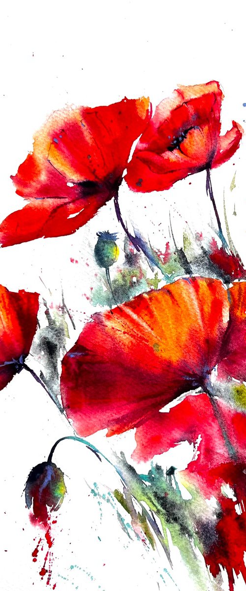 Red Poppies Watercolors by Yana Ivannikova