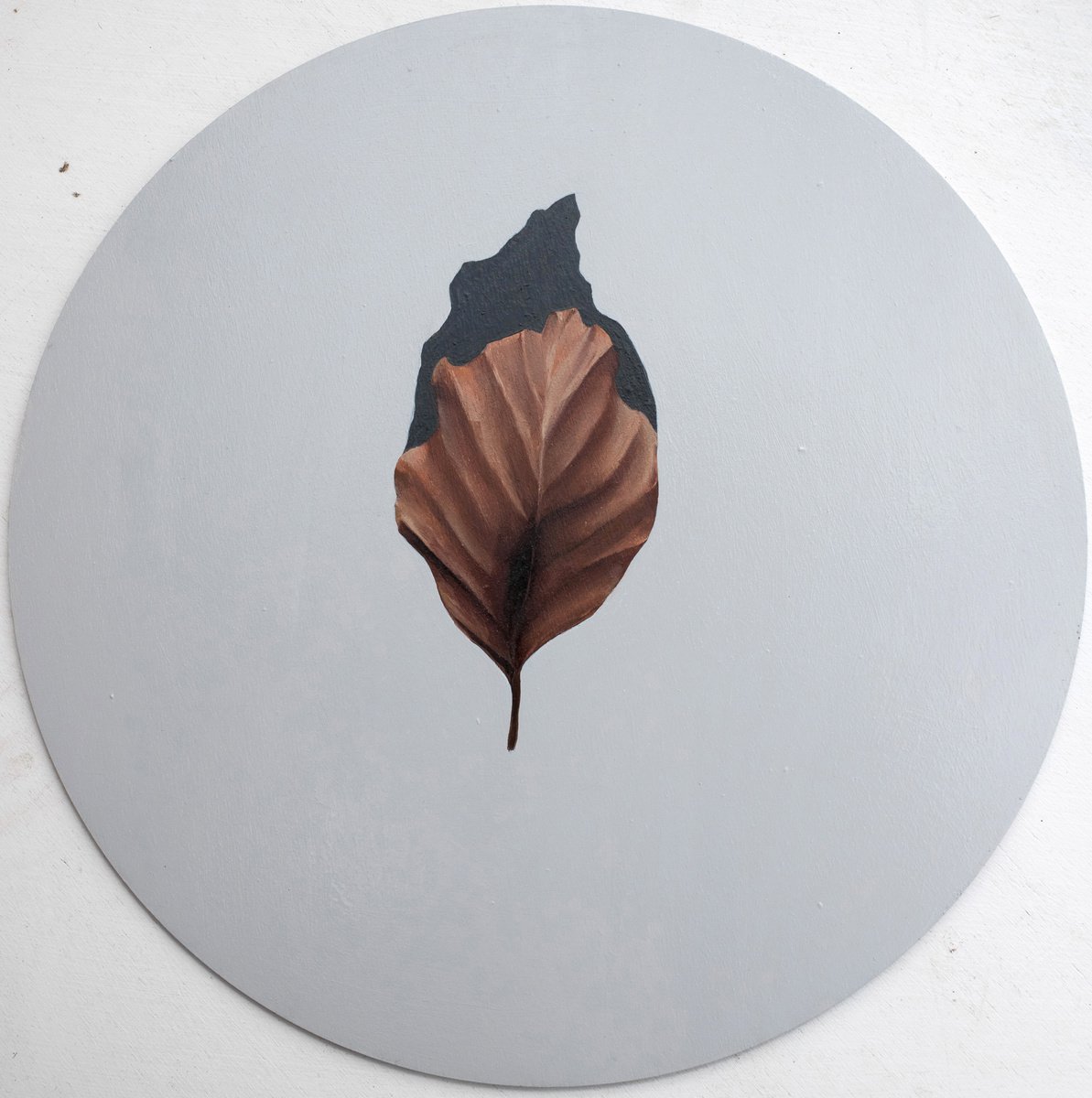 Nature doesn’t need museums (a leaf) 4 by Gennaro Santaniello