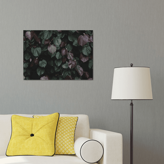 Winter leaves I | Limited Edition Fine Art Print 1 of 10 | 60 x 40 cm