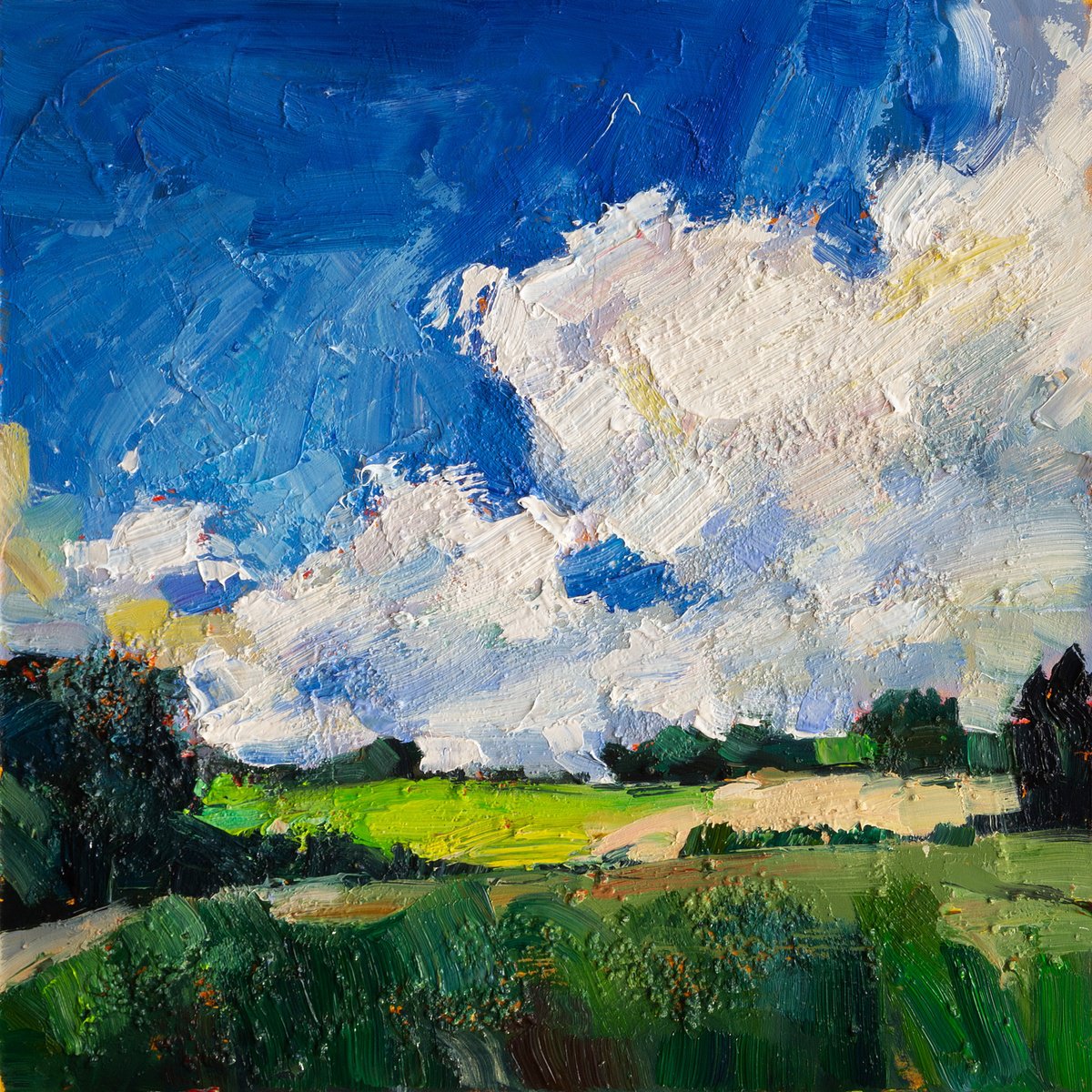 Impressionistic Landscape Oil Painting By Daria Zavadenko, 12 X 12, Restless Sky ?6/18, Original Artwork