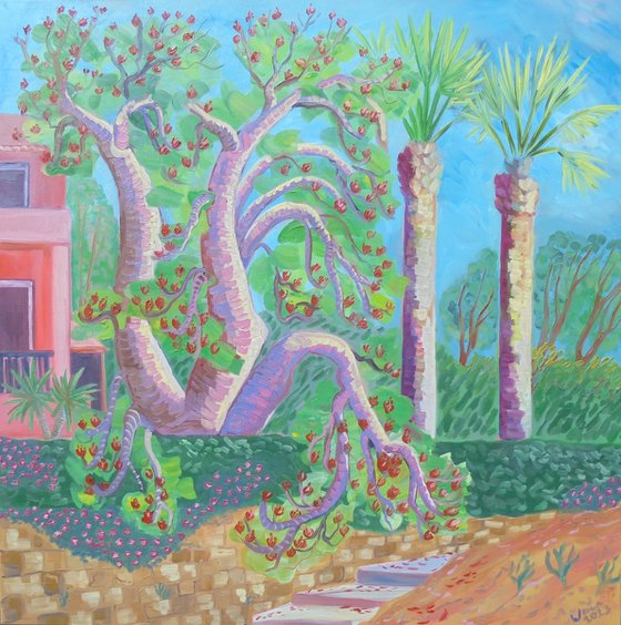 Coral tree in bloom SOLD