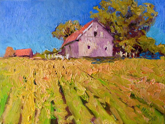 Old Barn in Midwest