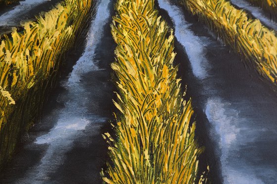 Lines of Yellows -   Fields and Colors Series