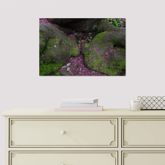 Roots & Petals — Rome Botanical Garden