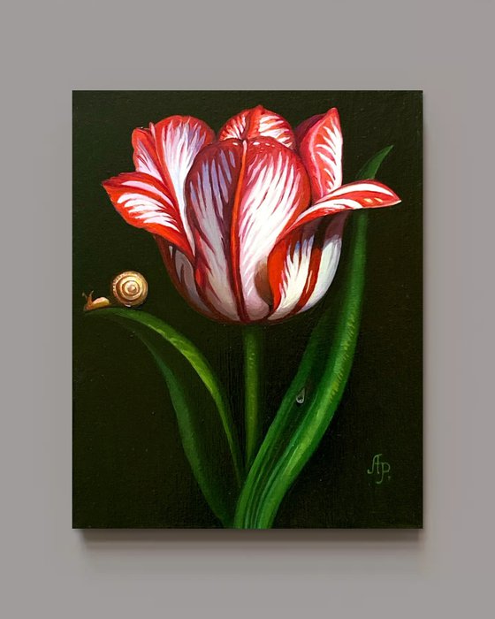 Tulip and snail