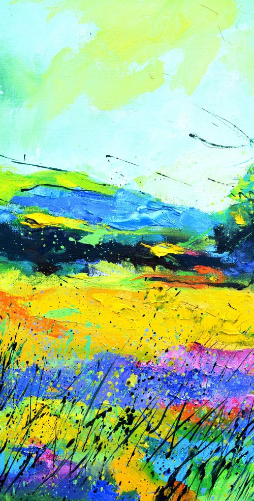Summer colours by Pol Henry Ledent