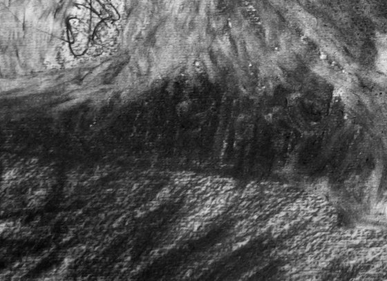 River Flow Patterns (Source)