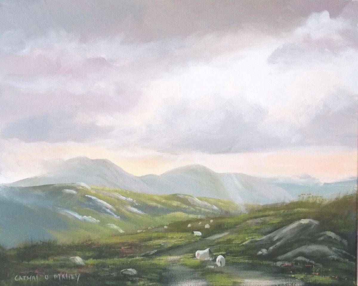 road to connemara by cathal o malley