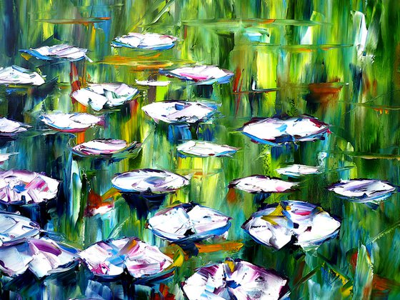 Lily Pond