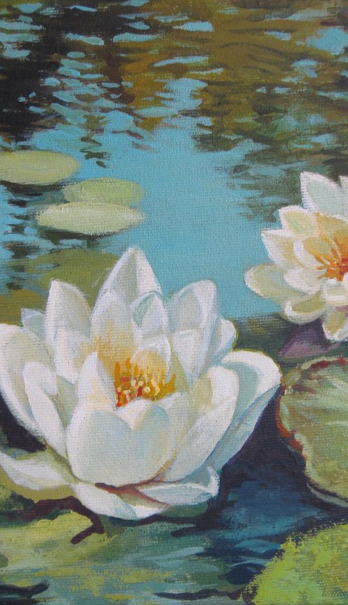 White waterlilies by Elena Oleniuc