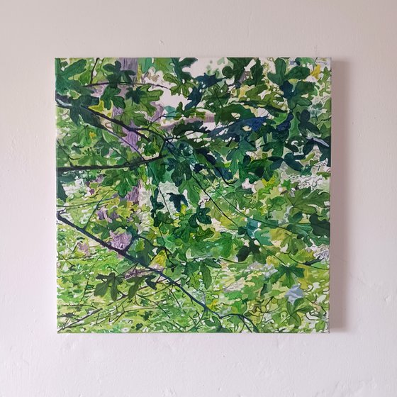Among the Trees 4