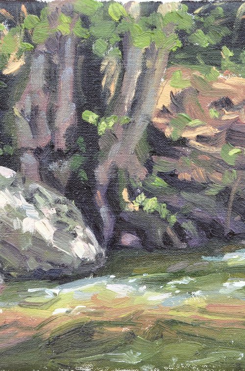 Rock at the river's edge by ANNE BAUDEQUIN