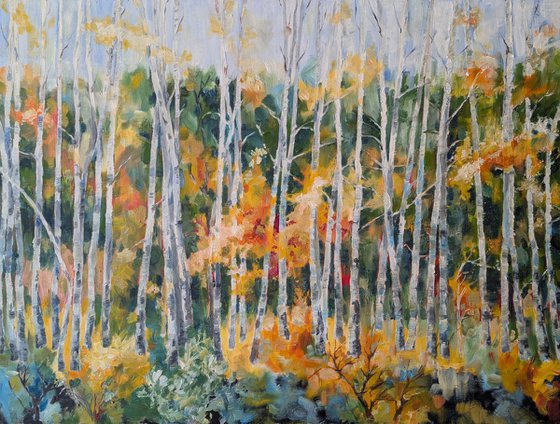 In the autumn forest