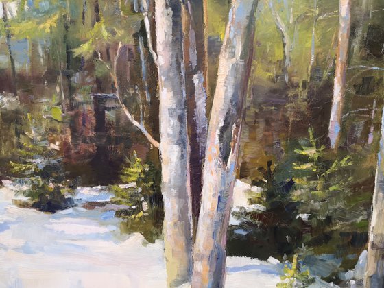 The path to the frozen lake