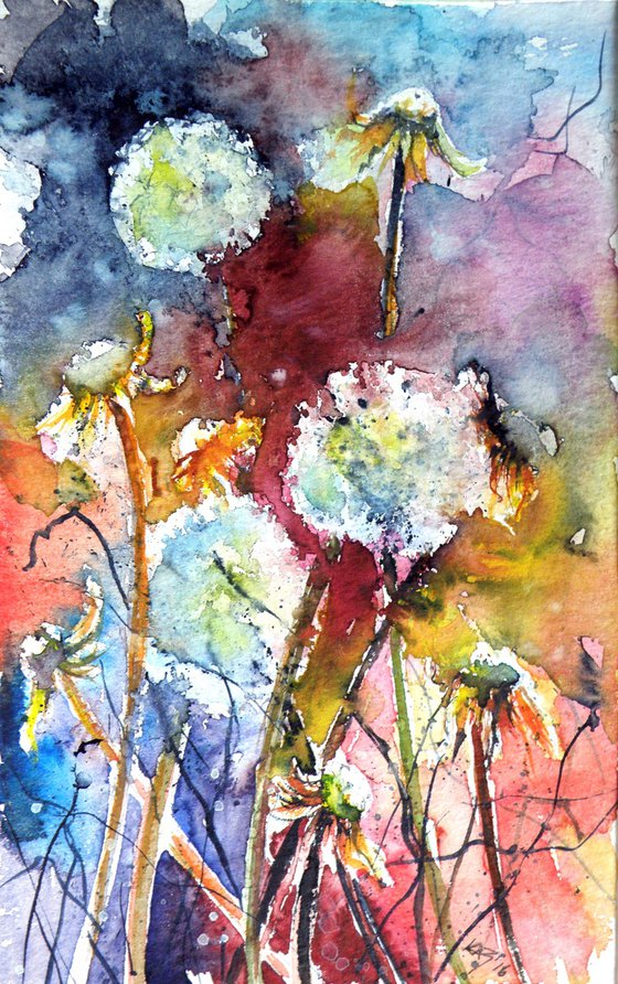 Dandelion