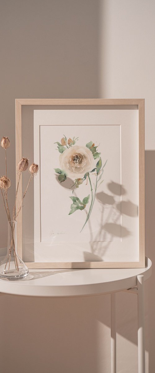 White vintage watercolor rose by Olga Koelsch