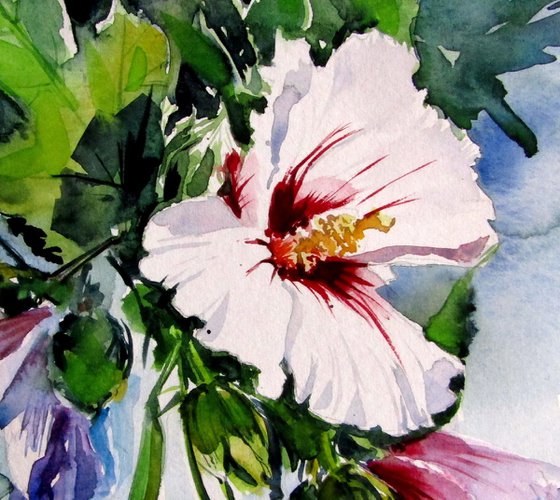 Mallow