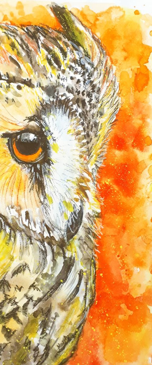 "Autumn owl" by Marily Valkijainen