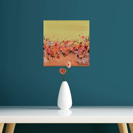 Sunkist Coral 3