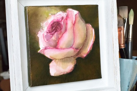 The rose - small size framed floral painting - 20X20 cm