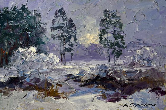 The Forest was Covered with Snow