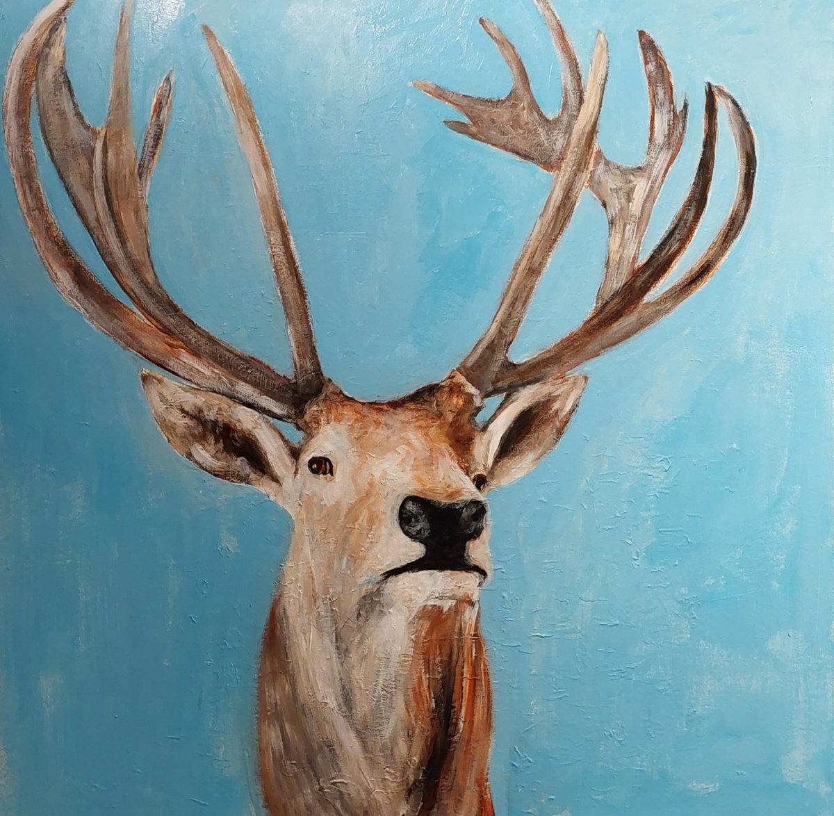 Deer by Els Driesen