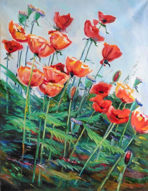 Poppys by Vyacheslav Onyshchenko