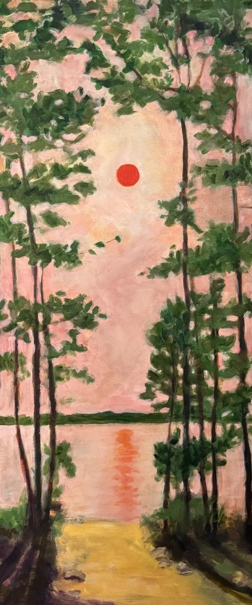 Summer Sunset, Lake Rideau by Domenica Brockman