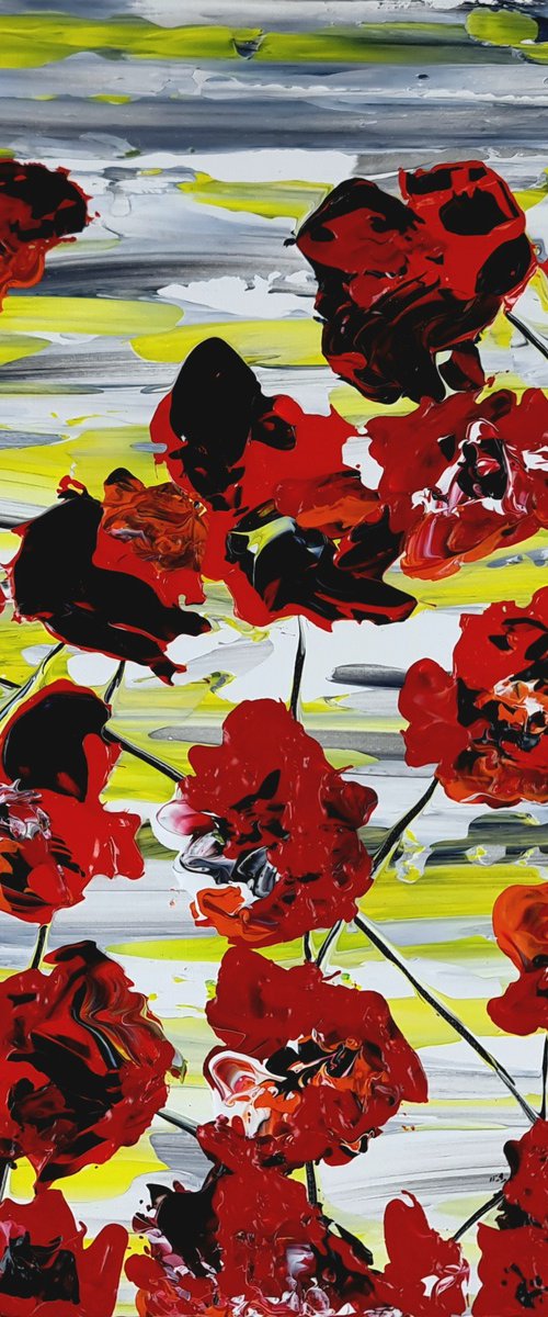 Red Poppies 4 by Daniel Urbaník
