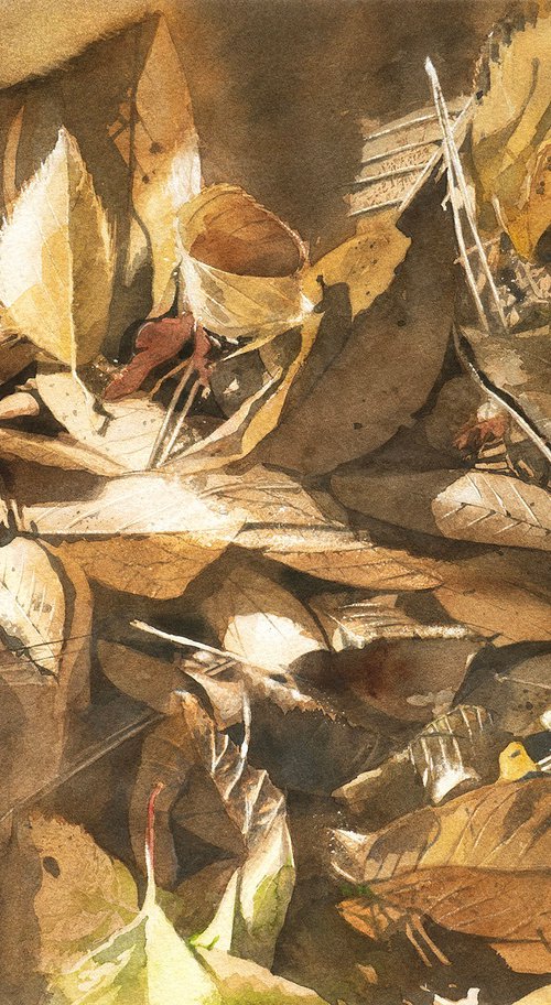 Fallen Leaves in Sunlight by Masato Watanabe