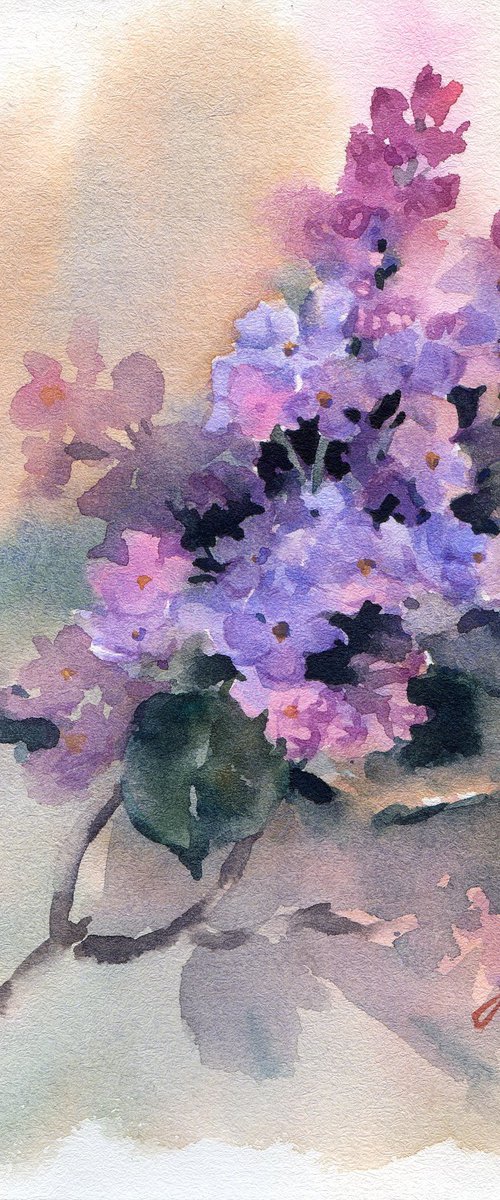 Lilac, spring blossom in watercolor by Yulia Evsyukova