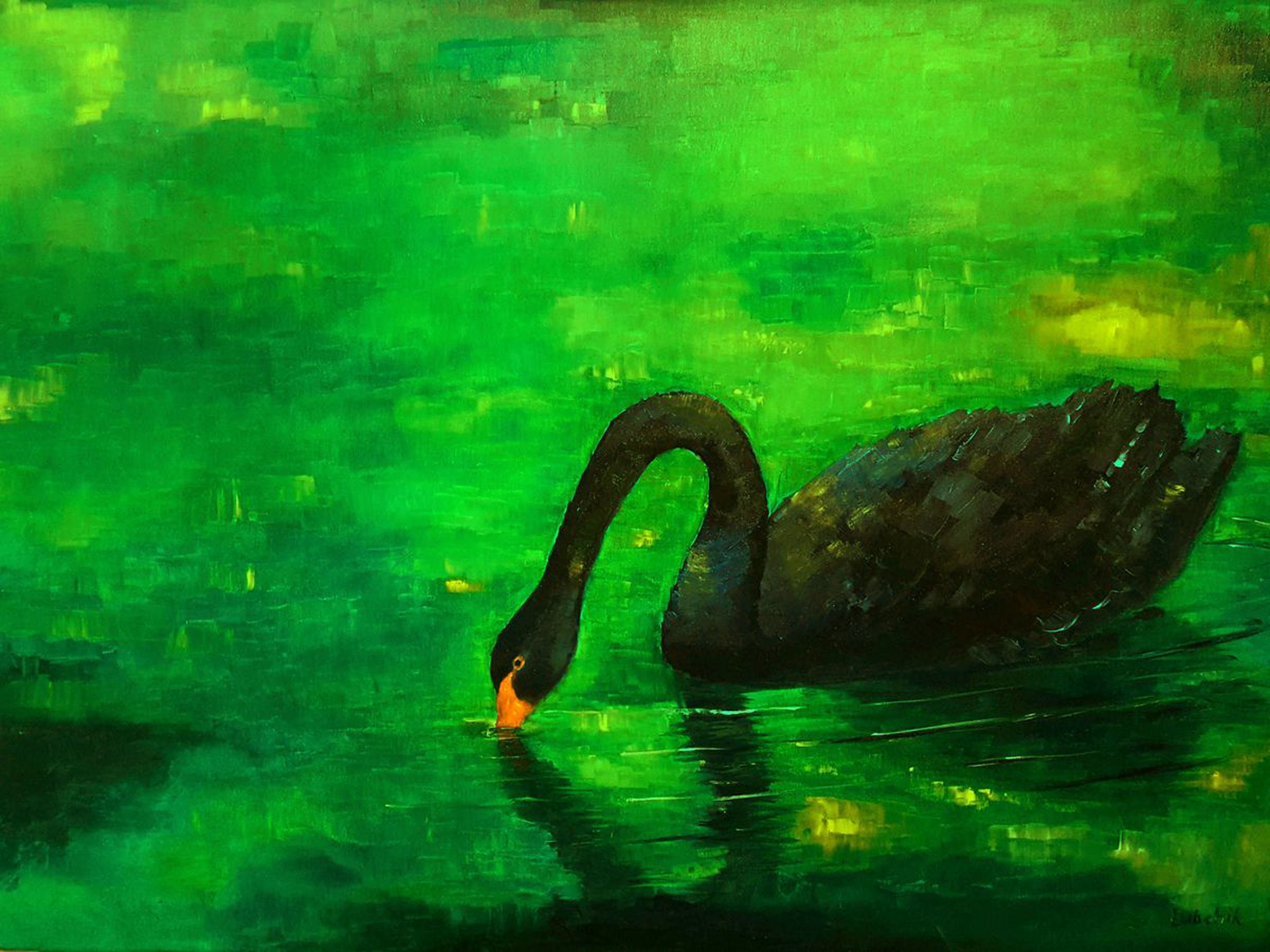 Original Oil Painting Black Swan Painting Artfinder