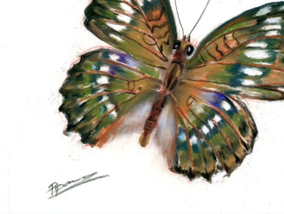 Butterfly (pastel)