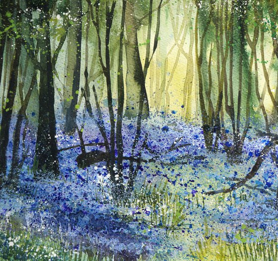 Bluebells in Hertfordshire