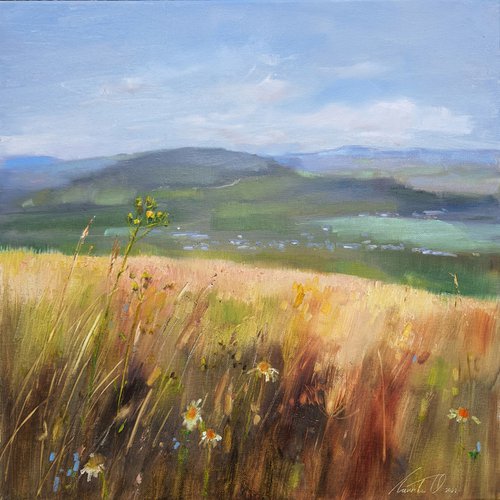 Field in the mountains by Olha Laptieva