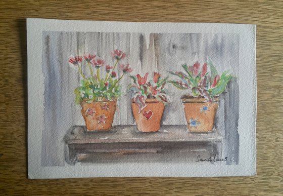 Three flower pots