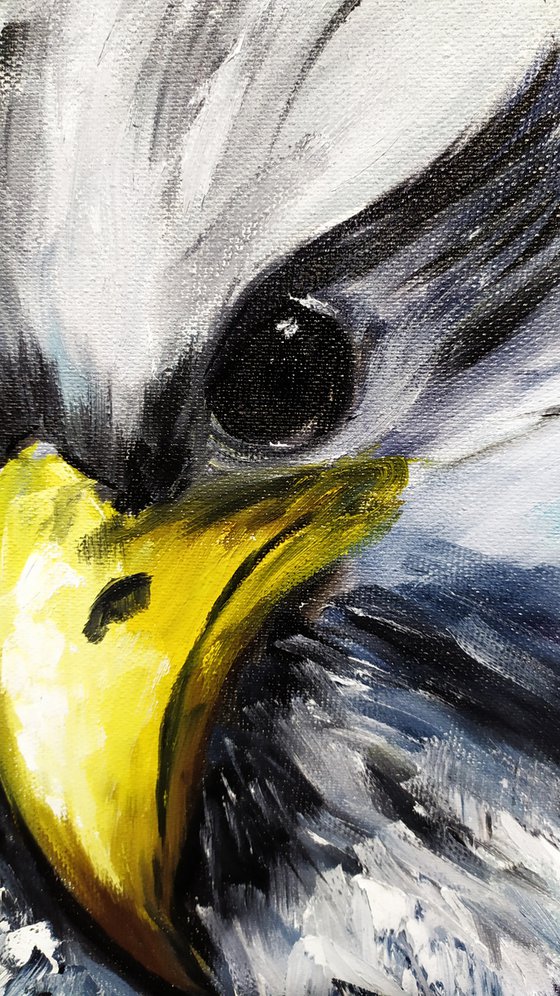 Young eagle, original bird small oil painting, gift idea, art for home