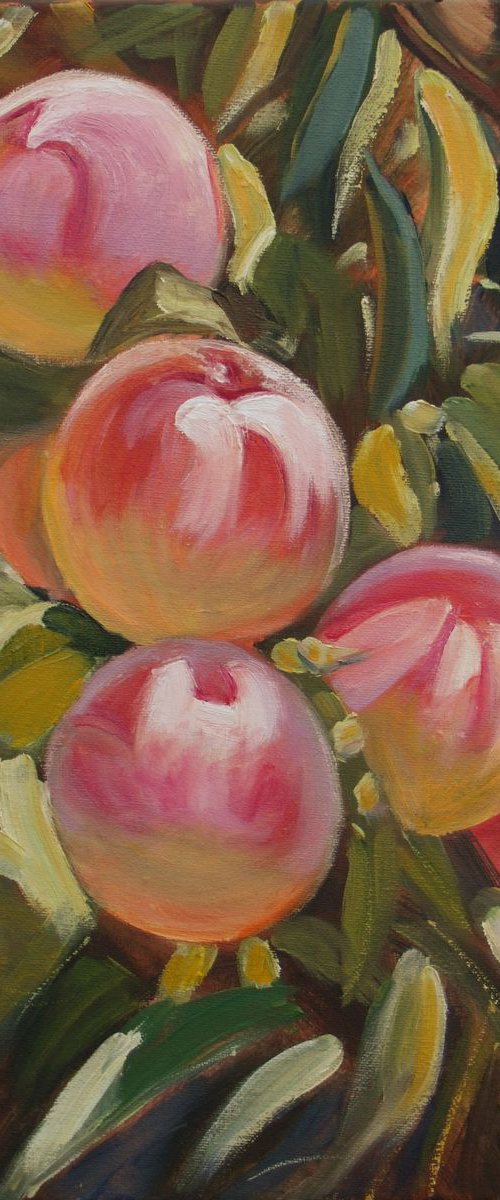 Peaches by Elena Sokolova