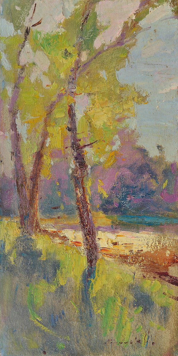Impressionistic Landscape Oil Painting By Alexander Shandor, 10 X 19, Summer Kontrazhur, Original Artwork