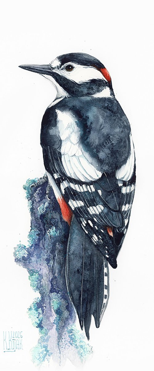 Great woodpecker by Karolina Kijak