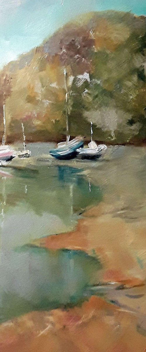 Boats at Solva by Ray Burnell