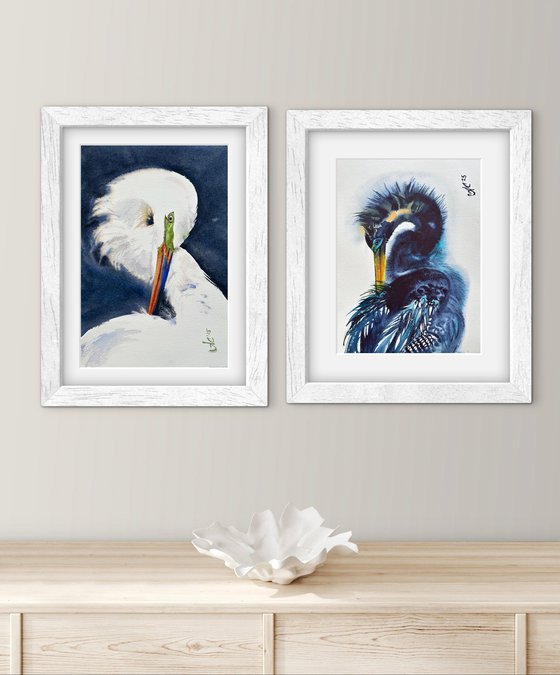 Birds: White Heron and Anhinga