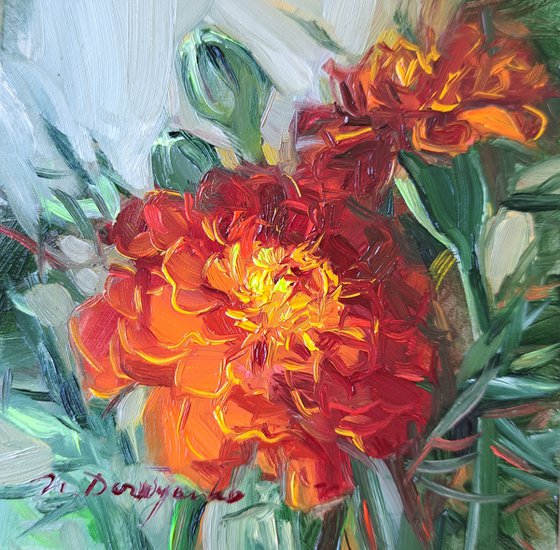 Tagetes flower