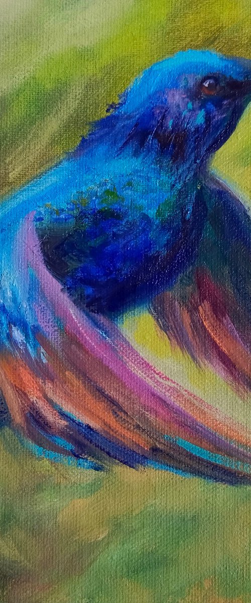 Hummingbird by Anastasia Art Line