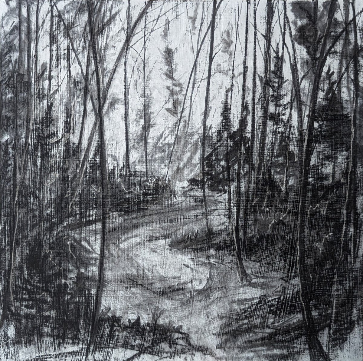 Photorealistic Landscape Charcoal Drawing By Sophie Adair, 12 X 12", Solitude, Original Artwork